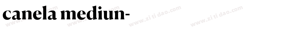 canela mediun字体转换